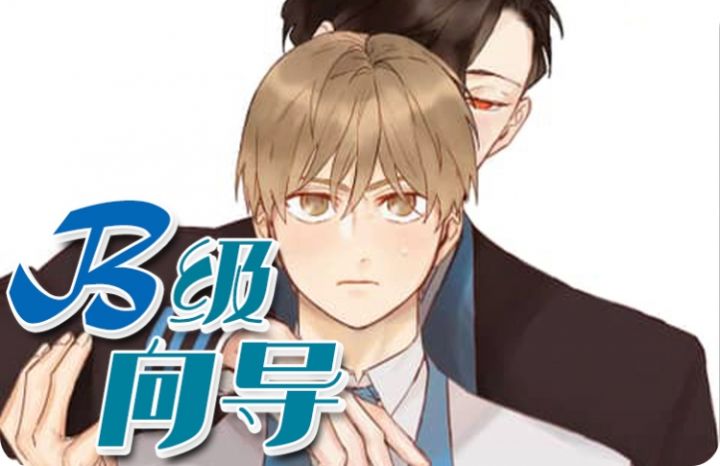  B级向导_banner